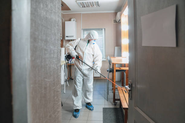 Trusted Auburn, IN Mold Removal Experts