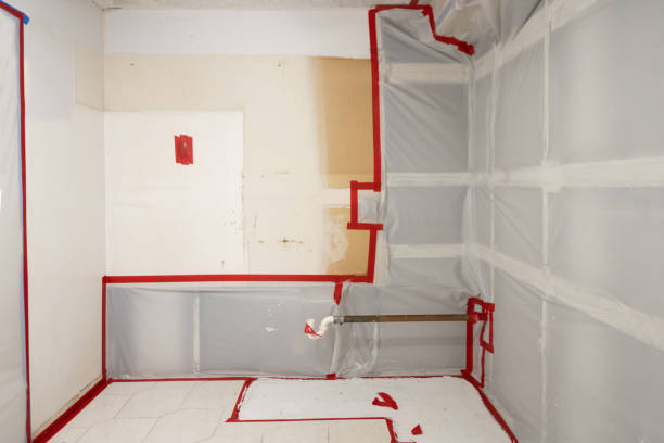 Mold Removal for HVAC Installations in Auburn, IN