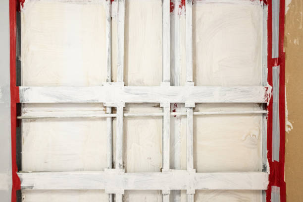 Best Real Estate Mold Inspection  in Auburn, IN
