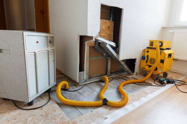 Best Airborne Mold Testing  in Auburn, IN